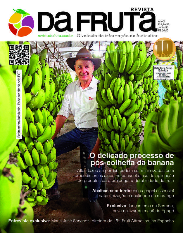 Secretaria de Agricultura recebe representantes do setor de bananicultura do Vale do Ribeira 
