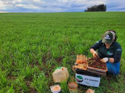 Produto da Esalq  selecionado pela FAO como uma das inovaes globais
