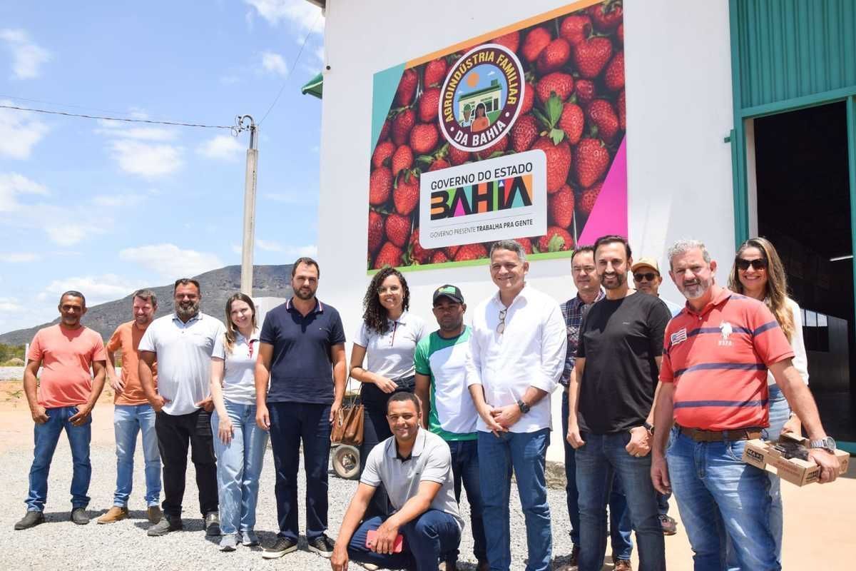 Chapada Diamantina pretende se tornar uma das principais regies produtoras de frutas vermelhas no Brasil