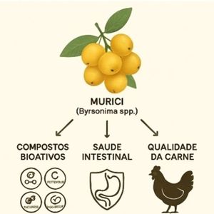 Efeito da inclus�o de murici (Byrsonima spp.) na dieta de frangos de  corte