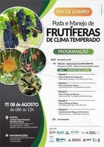 Dia de campo aborda poda e manejo de frutferas de clima temperado