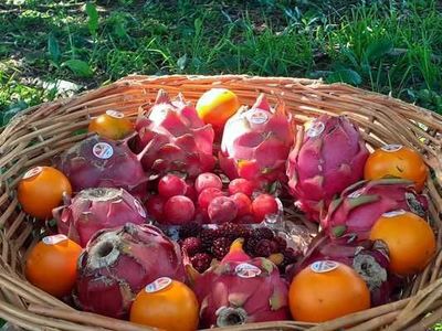 Frutas pouco comuns produzidas em Minas Gerais