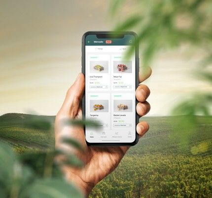 OpenSolo lança solução para integrar a cadeia de frutas, legumes e trigo