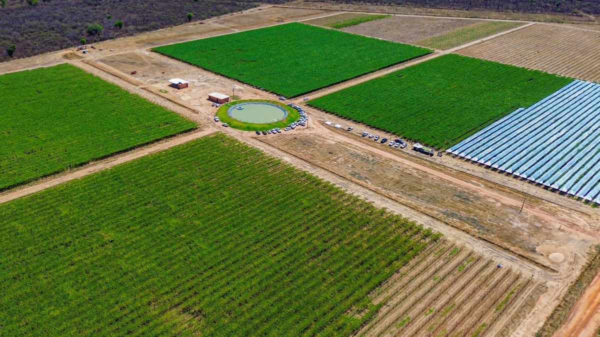 Fruticultura irrigada: Evento consolida nova fronteira agrcola baiana