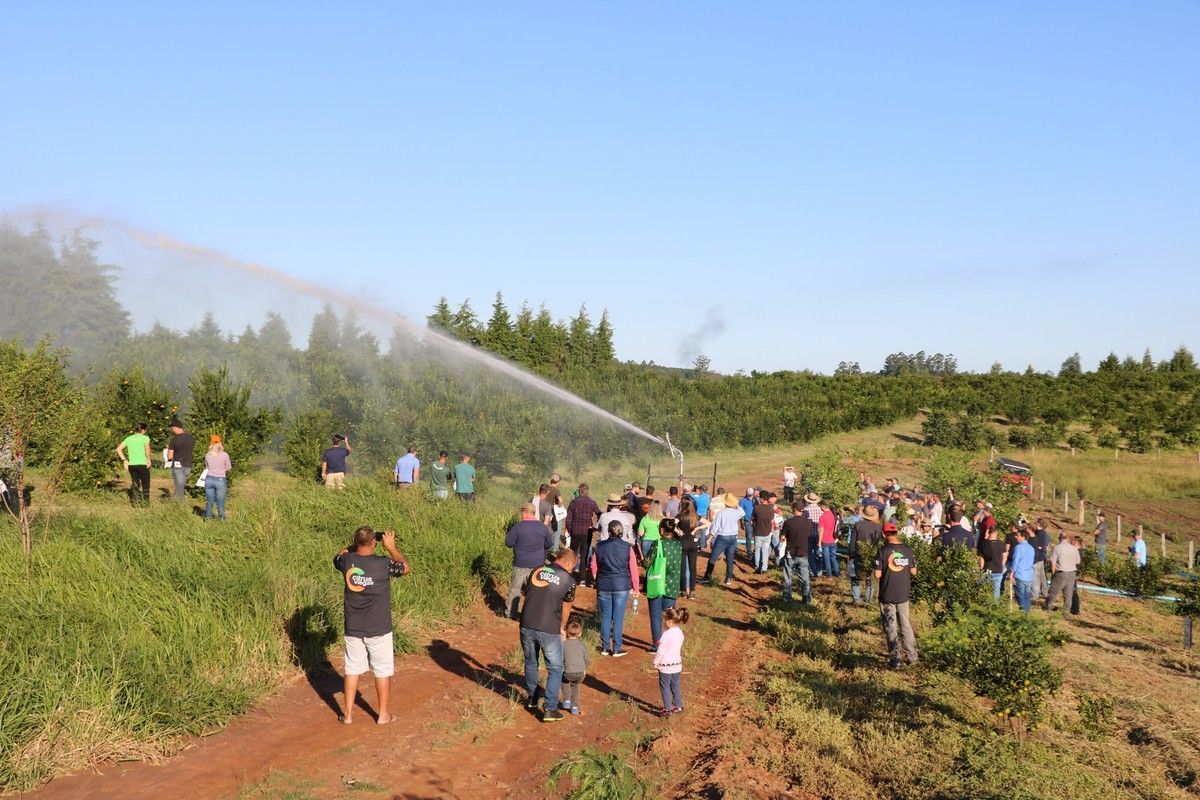 Citricultura gacha registra alta nos preos e boa produtividade, aponta Emater/RS-Ascar