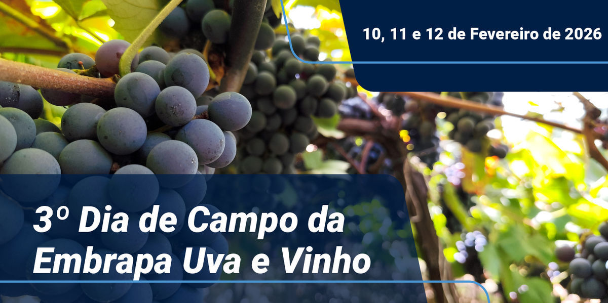 Abertas as inscri��es para Dia de Campo da Embrapa Uva e Vinho