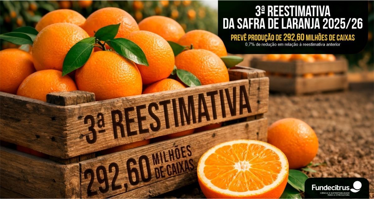 Terceira reestimativa da safra de laranja 2025/26 em SP e MG prev� produ��o  de 292,60 milh�es de caixas
