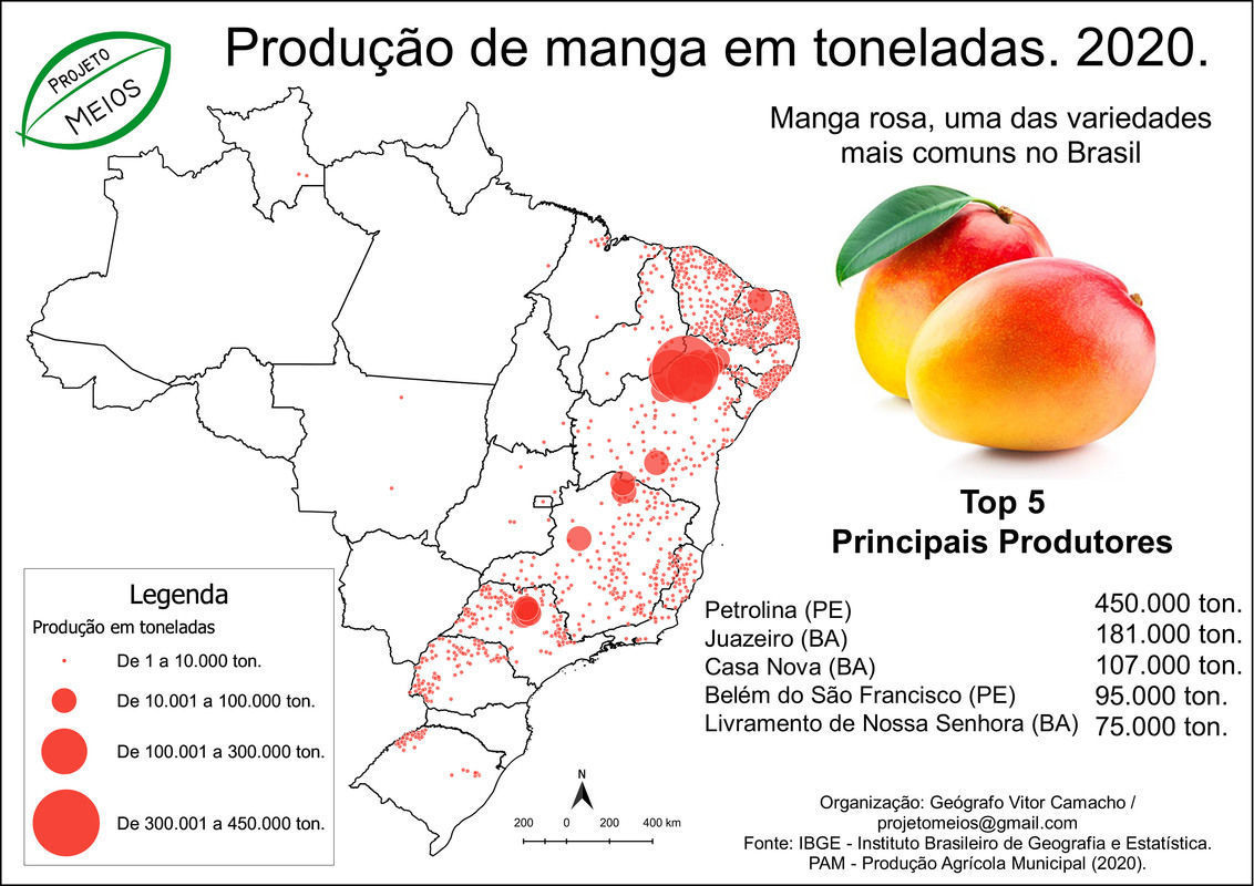 Reguladores de crescimento no cultivo de manga