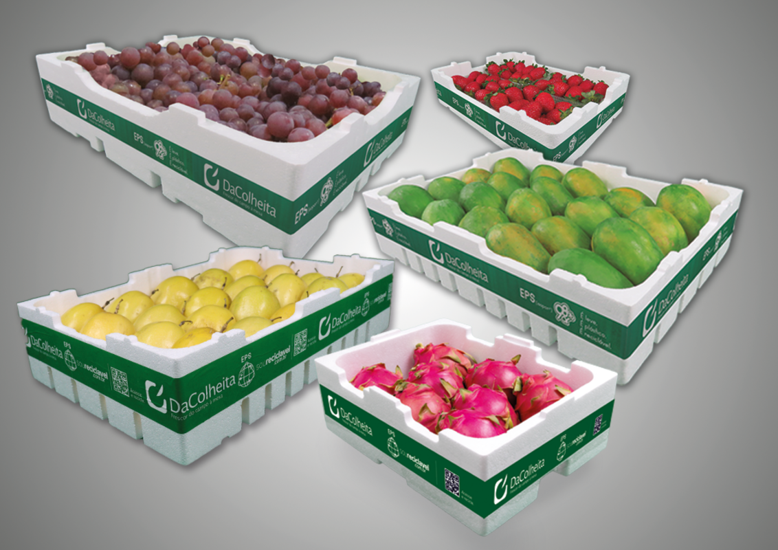 Termot�cnica participa da Fruit Attraction 2026, com novidades como a conservadora t�rmica para maracuj�