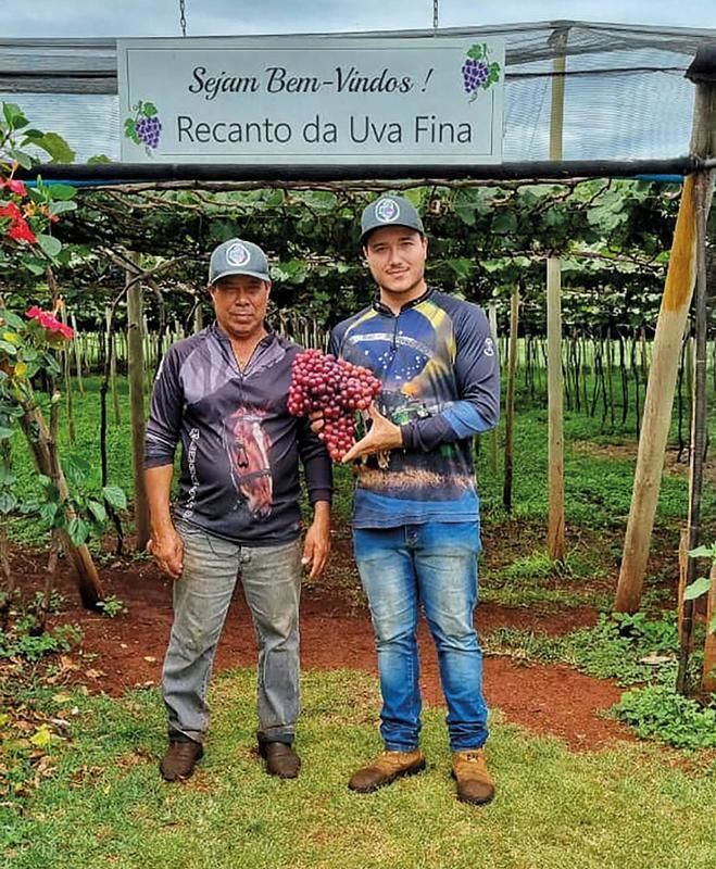 Viticultura ganha for�a com novo roteiro - O Sistema FAEP contribui diretamente � qualifica��o dos produtores rurais deste segmento por meio de cursos voltados ao turismo rural