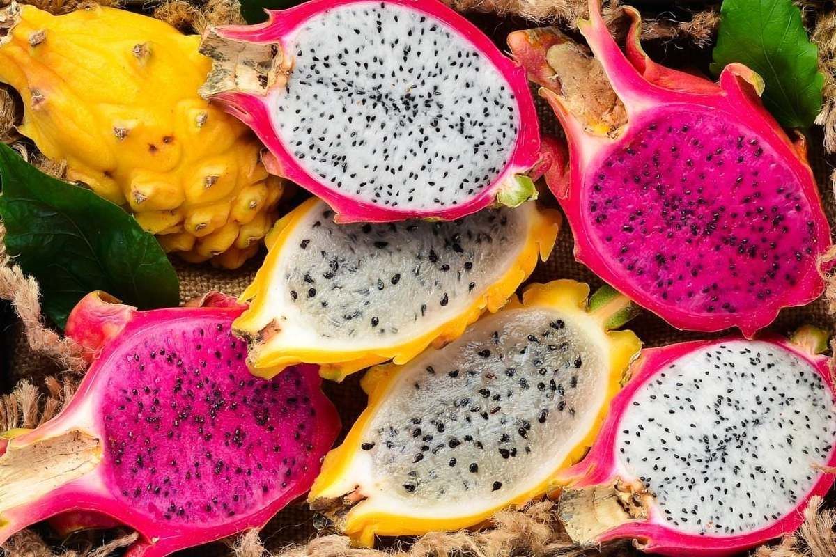 Revestimento contendo quitosana prolonga a vida �til da pitaya por at� 25 dias sob armazenamento refrigerado