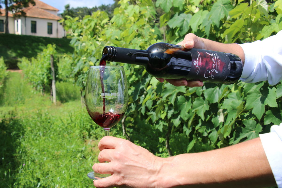 Projeto busca Denomina��o de Origem para os Vinhos de Inverno do Sul de Minas