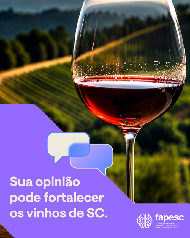 Projeto SC Insights realiza pesquisa sobre comportamento dos consumidores de vinhos catarinenses